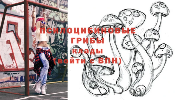 ALPHA-PVP Кинешма