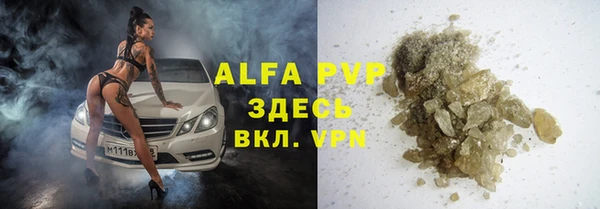 индика Киренск