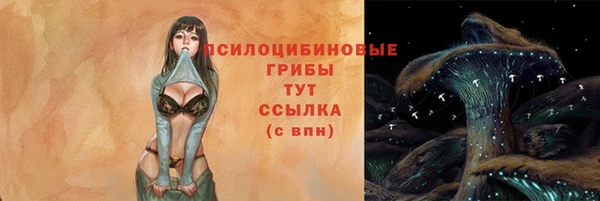 дмт Киреевск