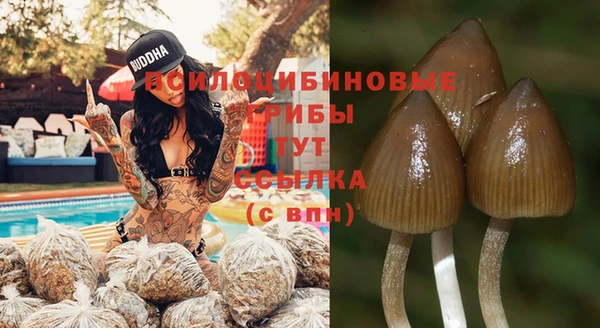 индика Киренск