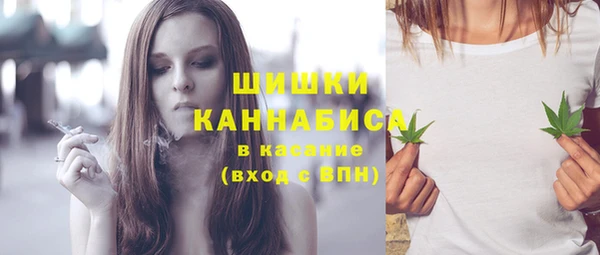 индика Киренск