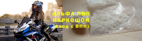 индика Киренск