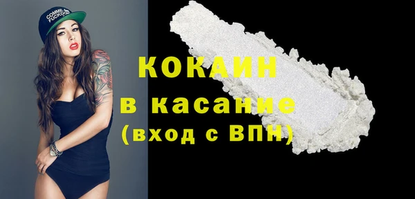 дмт Киреевск