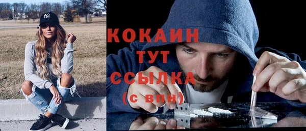 дмт Киреевск