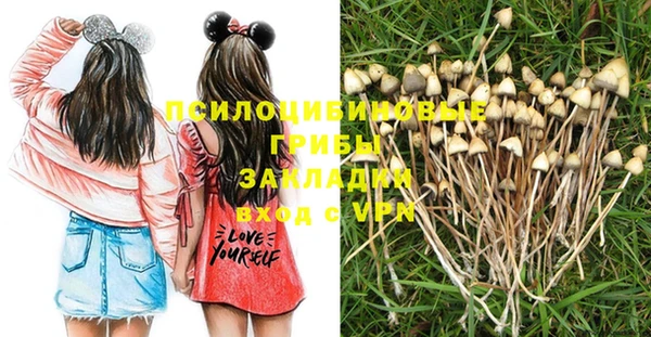 индика Киренск