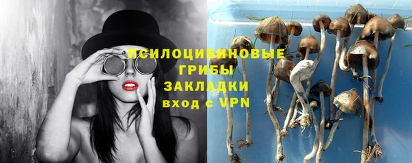ALPHA-PVP Кинешма