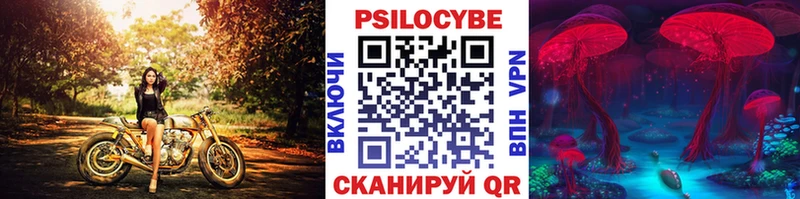 Купить закладки Дзержинск Псилоцибиновые грибы Psilocybine cubensis